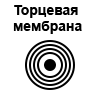 Торцевая мембрана